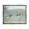 Stupell Industries Two Sandpipers Stepping Beach Shore Black Framed Floater Canvas Wall Art